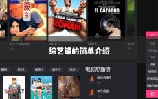 综艺错的简单介绍