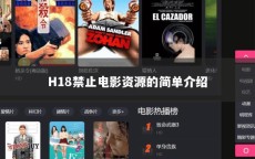 H18禁止电影资源的简单介绍