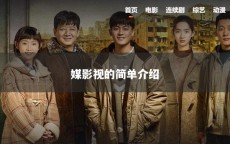 媒影视的简单介绍